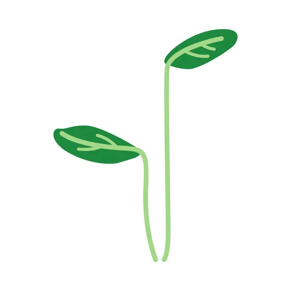 Yuvarlak yeşil yaprakları ile sevimli genç bahar filizi — Stok Vektör