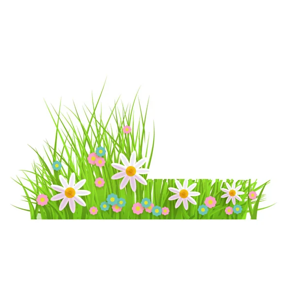 봄 꽃 녹색 잔디와 카모마일과 데이지와 잔디 테두리, 전과 후 깎기. — 스톡 벡터