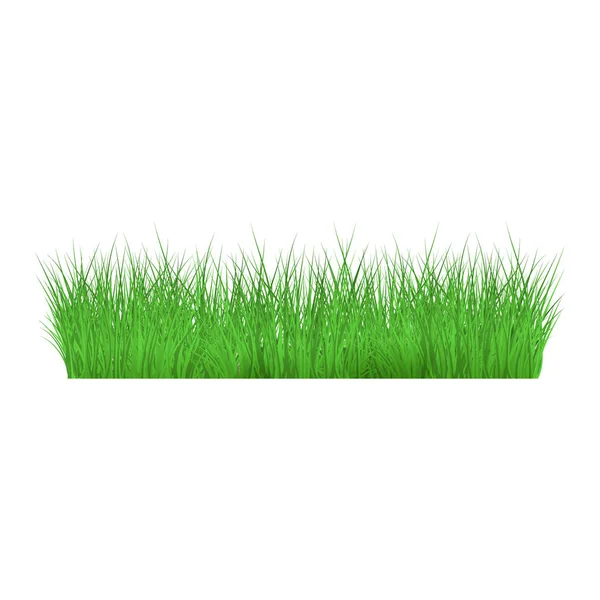 Verano, hierba verde primavera y borde del césped en un fondo aislado en estilo realista . — Vector de stock