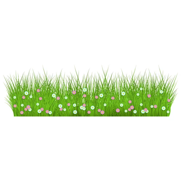 Estate, primavera fiorito erba verde lussureggiante e bordo prato . — Vettoriale Stock