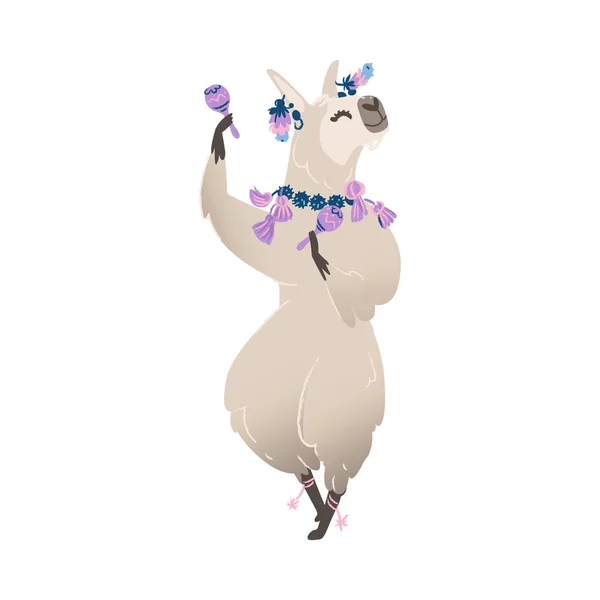Una linda llama animal o alpaca de Perú sonríe y baila con maracas . — Vector de stock