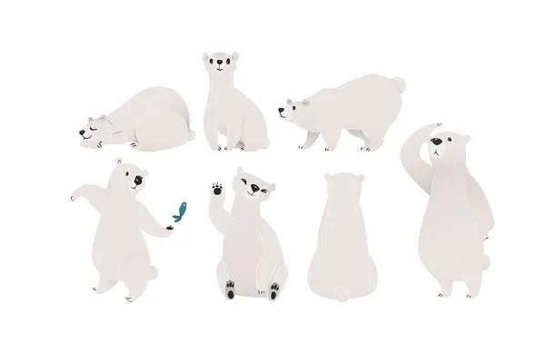 Conjunto de ursos polares brancos para projetos de logotipo e inverno ilustração vetorial plana isolada . —  Vetores de Stock