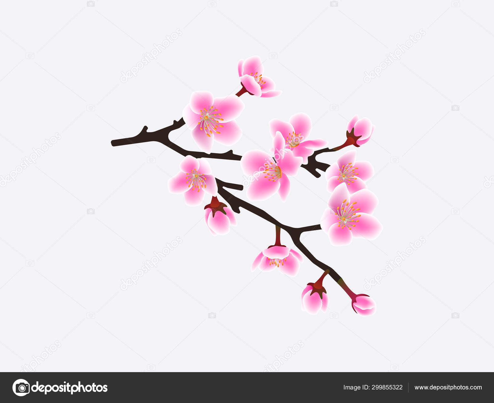 Sakura Tree Branch Isolated On White Background Pink Cherry Blossom Flowers Vector Image By C Sabelskaya Vector Stock Sakura Tree Branch Isolated On White Background Pink Cherry Blossom Flowers Vector Image By C Sabelskaya Vector Stock