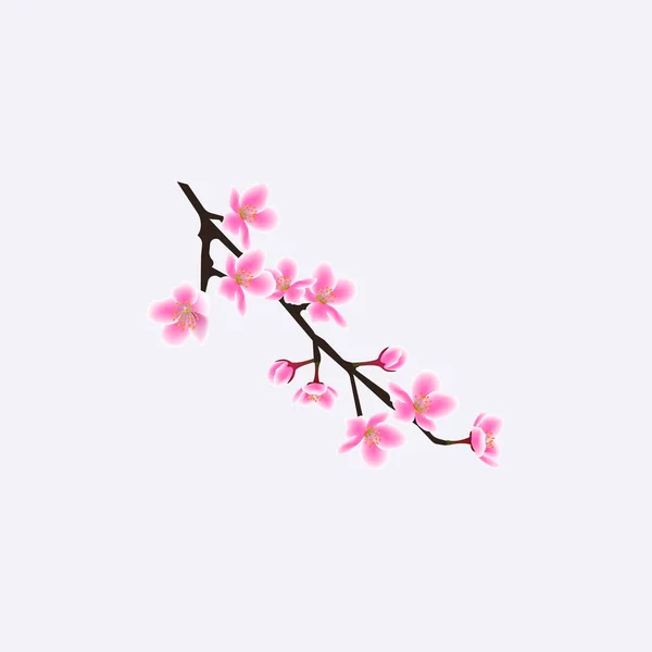 Små isolerade Sakura Tree Twig med realistiska blommor — Stock vektor