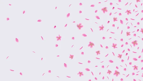 Pétalas de flores sakura rosa flutuando no vento - fundo abstrato — Vetor de Stock