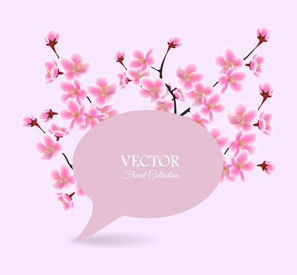 Bannière de printemps arbre de fleur de cerisier - modèle de texte de bulle de parole — Image vectorielle
