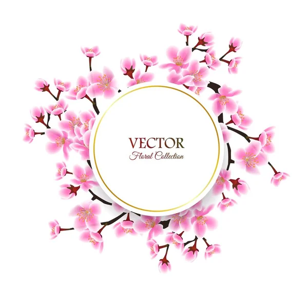 Cadre fleur de cerisier de printemps - modèle de texte rond isolé avec cadre sakura — Image vectorielle