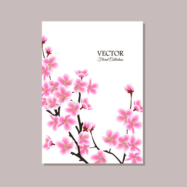 Greeting card, banner or wedding invitation with blooming sakura branches in flowers. — Stock Vector