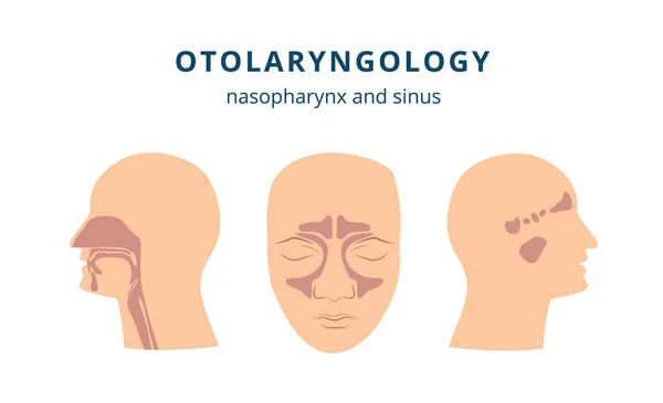 Otorrinolaringología - conjunto de iconos de salud de oído, nariz y garganta con cabeza humana en perfil y vista frontal — Vector de stock