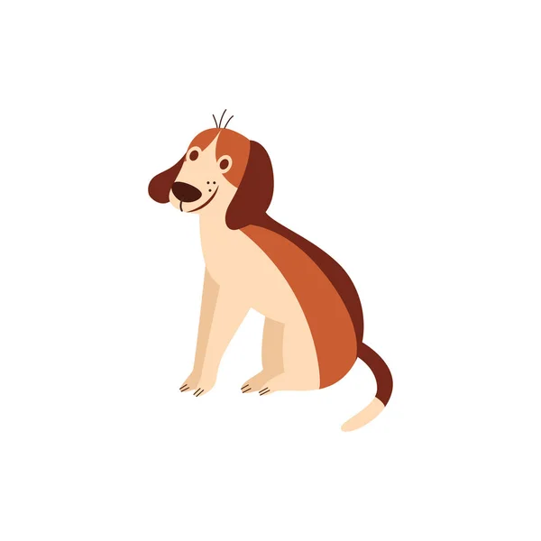 Χαριτωμένο χαρούμενο σκυλάκι κυνηγόσκυλο καθιστός χιούμορ επίπεδη κινούμενα σχέδια απεικόνιση μεμονωμένο. — Διανυσματικό Αρχείο