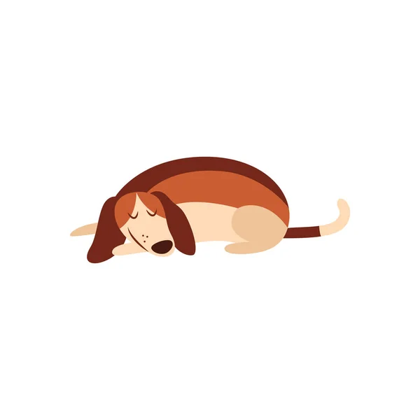 Cute beagle dog sleeping on the floor, isolated cartoon pet animal with eyes closed and smile taking a nap — Stock Vector