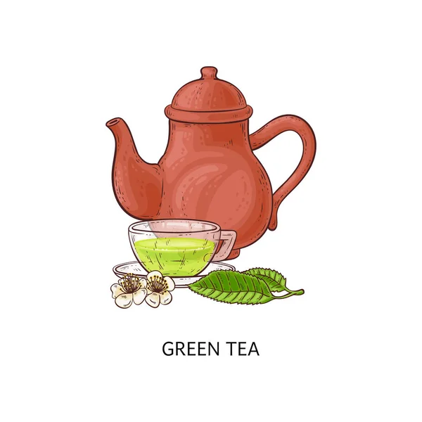 Theepot en een glas kopje groene thee schets vector illustratie geïsoleerd. — Stockvector