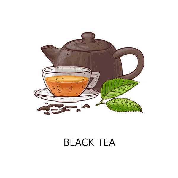 Zwarte thee samenstelling tekening-hete kruidendrankje in glazen beker met theepot en groene bladeren — Stockvector