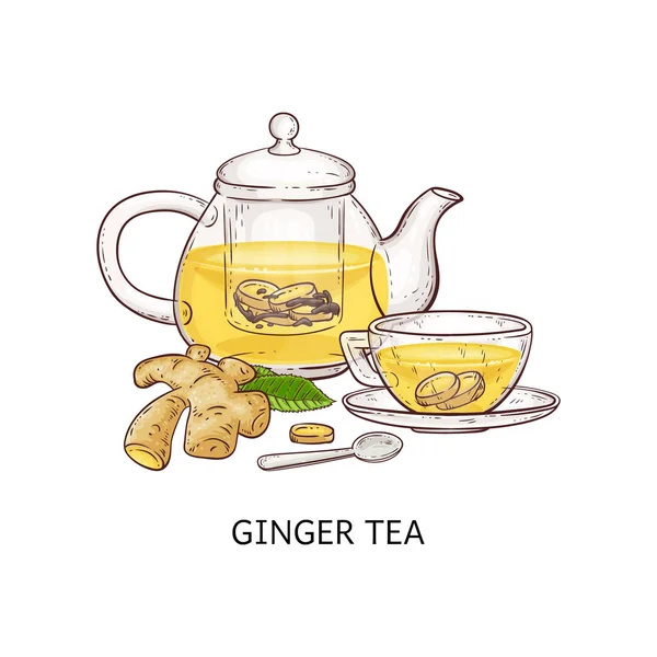 Té de jengibre - bebida caliente saludable en tetera de vidrio y taza de mano dibujada en estilo de dibujos animados — Archivo Imágenes Vectoriales