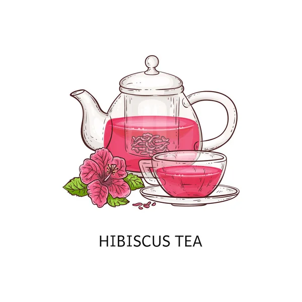 히비스커스 차 - 유리 컵에 분홍색 음료와 흰색 배경에 고립 된 주전자 — 스톡 벡터