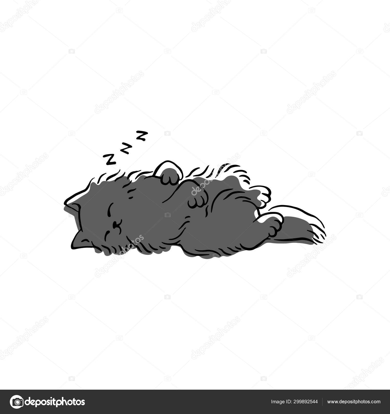 Desenhos Animados Desenhados à Mão E Clipart De Gato Cinza PNG