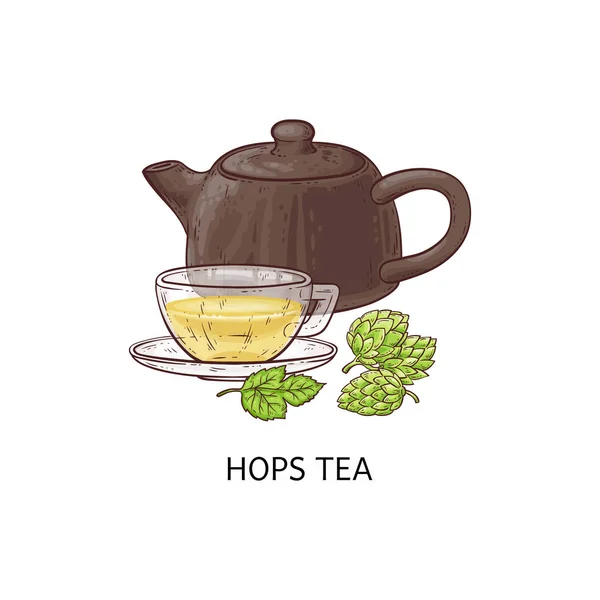 Chá de lúpulo - xícara e bule de chá com bebida herbal amarela saudável de planta de lúpulo e húmus —  Vetores de Stock