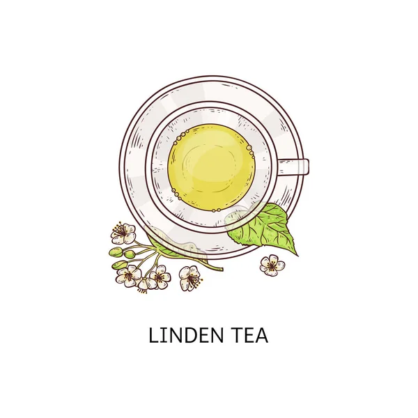 Cam bardak ıhlamur çayı - sağlıklı bitkisel içecek sevimli çizim — Stok Vektör