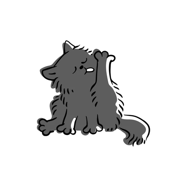 Sladká legrační domácí černá nebo šedá kočka olizuje svou tlapu. — Stockový vektor