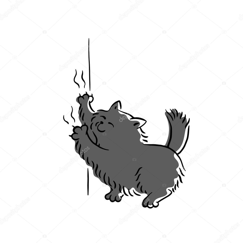 Bad black cat scratching wallpaper sketch cartoon vector illustration isolated.
