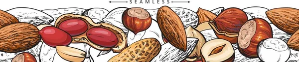 Naadloos patroon en rand met noten en pinda's, hazelnoten en amandelen. — Stockvector