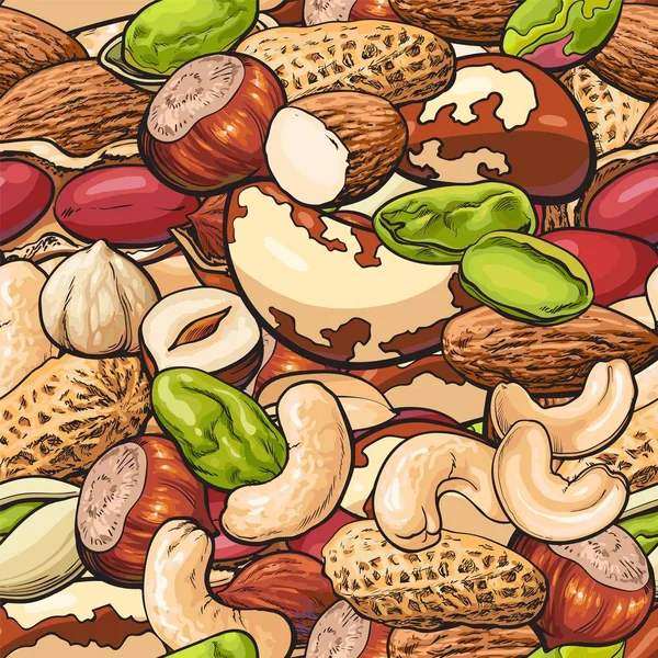 Pola mulus dengan kacang-kacangan seperti pistachio dan gambar vektor macadamia . - Stok Vektor