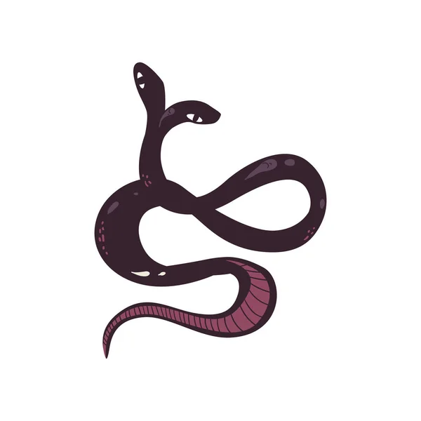 Serpiente morada oscura de dos cabezas aislada sobre fondo blanco — Vector de stock