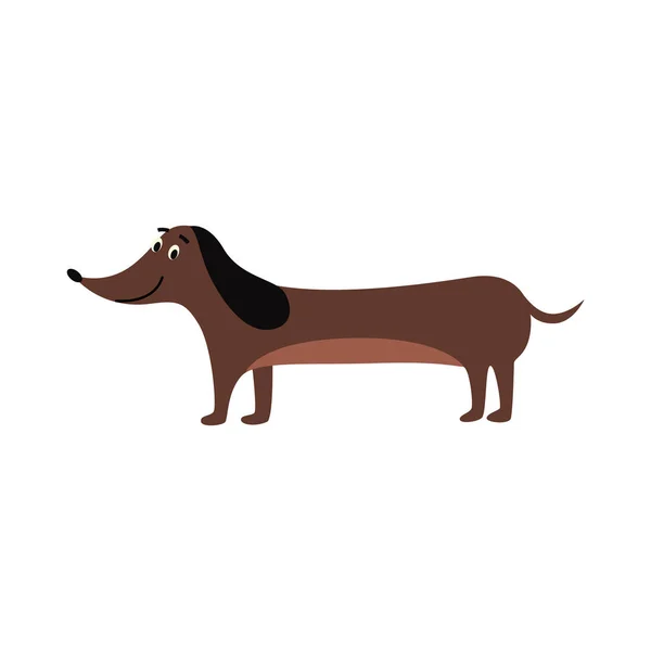 Dachshund engraçado ou teckel cachorro cão desenho animado plano vetor ilustração isolado . —  Vetores de Stock