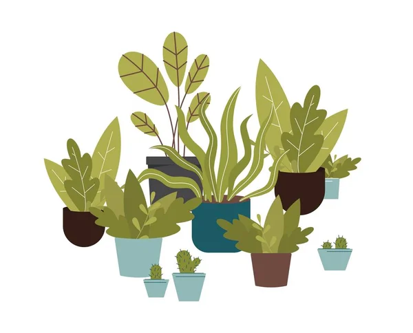 Selva urbana elemento de decoración del hogar de moda - plantas de interior. Ilustración vectorial plana . — Archivo Imágenes Vectoriales