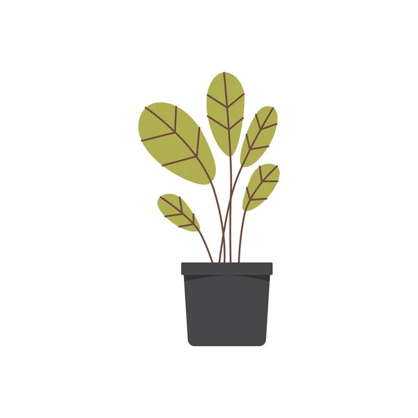 Plante en pot de dessin animé plat isolée sur fond blanc - illustration vectorielle . — Image vectorielle