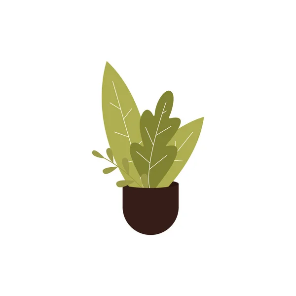 白い背景に隔離された緑の葉を持つ漫画の家の植物 — ストックベクタ