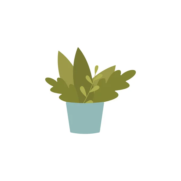 Grüne moderne Hauspflanze Ikone isoliert auf weißem Hintergrund - flache Vektorillustration — Stockvektor