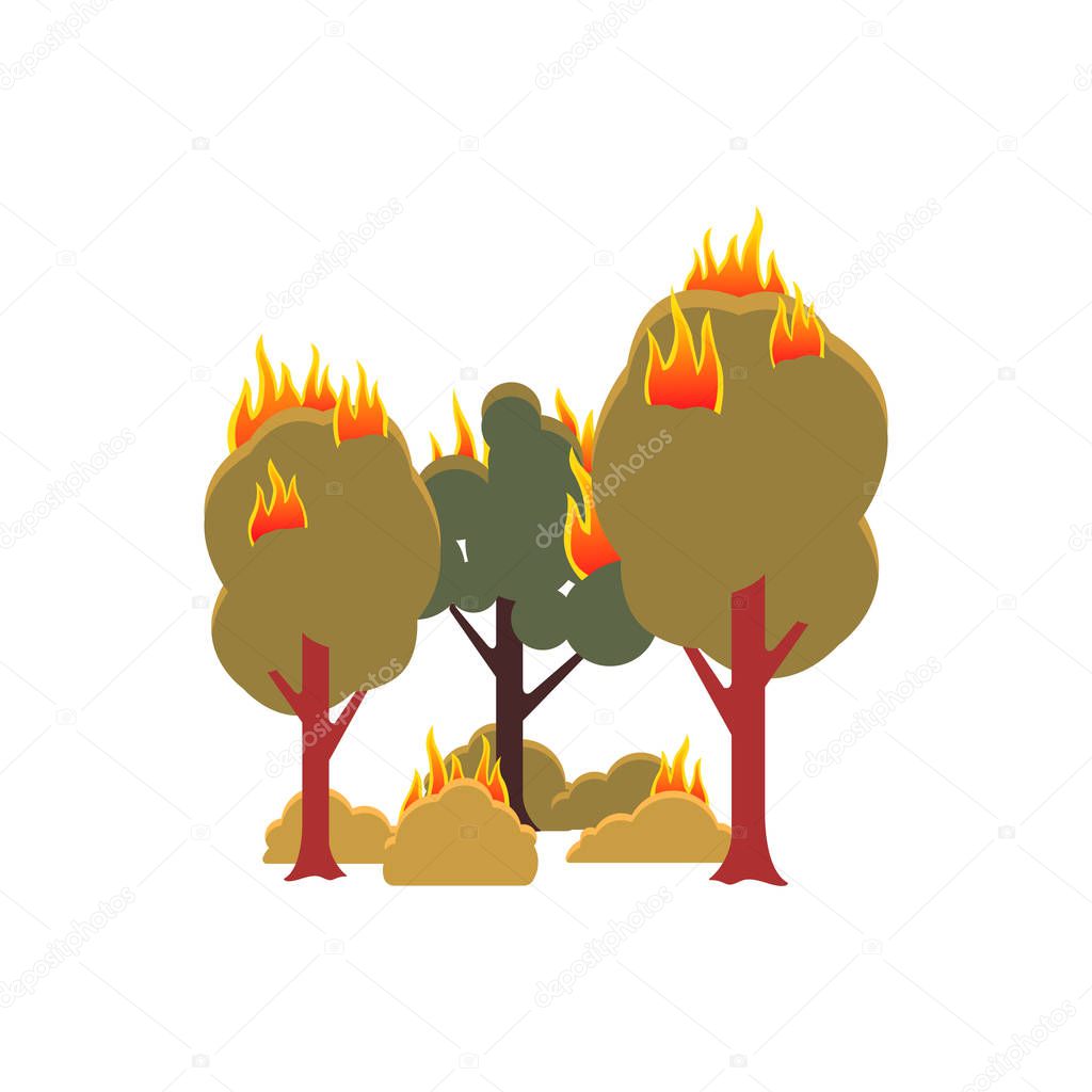 Forest fire - isolated green trees and bushes with flame burning on them.