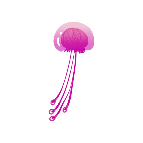 Wunderschöne rosa Meeresquallen und Medusen mit Tentakeln, wildes Unterwassertier. — Stockvektor