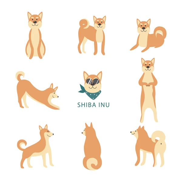 Shiba inu cute dog w różnych pozach w płaskich ilustracji wektor zestaw izolowane. — Wektor stockowy