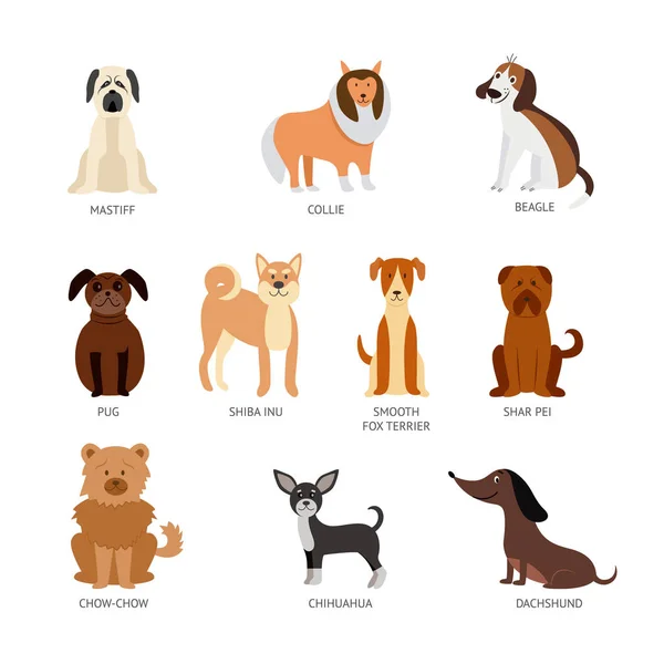 Conjunto de razas de mascotas, animales y perros . — Vector de stock