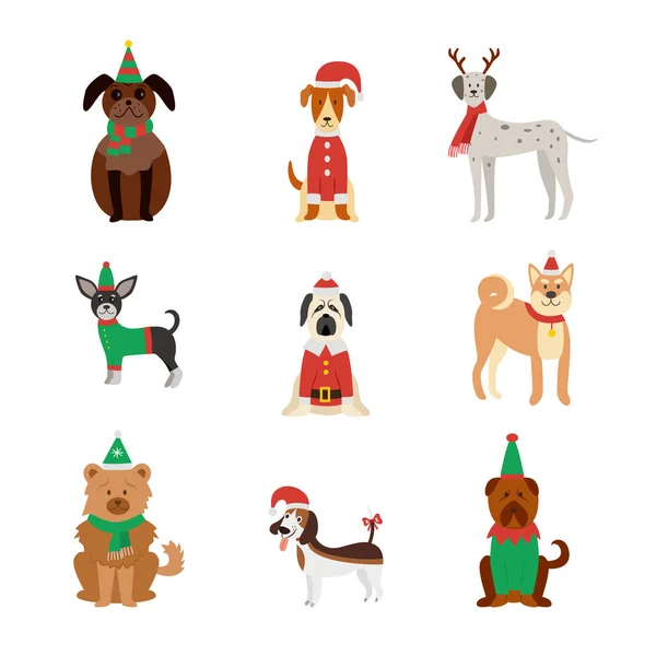 Perro razas lindo en Navidad ropa y sombreros plana vector ilustración aislado . — Archivo Imágenes Vectoriales