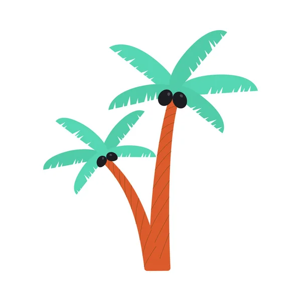 Dibujo de palmera de dibujos animados con cocos negros aislados sobre fondo blanco — Vector de stock
