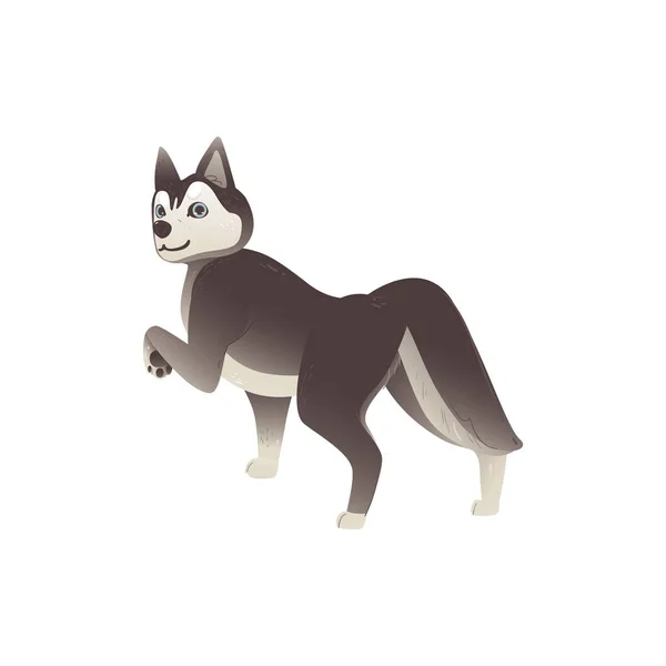 Animal de estimação cão husky caminhando e olhando para trás - animal de desenho animado bonito — Vetor de Stock