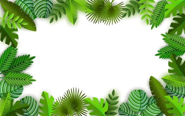 Fond jungle tropicale avec feuilles de palmiers illustration vectorielle isolé . — Image vectorielle