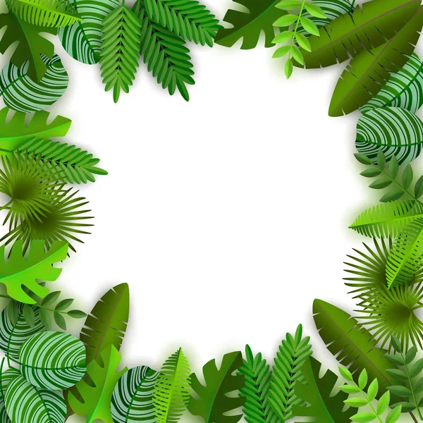 Jungle achtergrond met palmbladeren en ruimte voor tekst vector illustratie geïsoleerd. — Stockvector