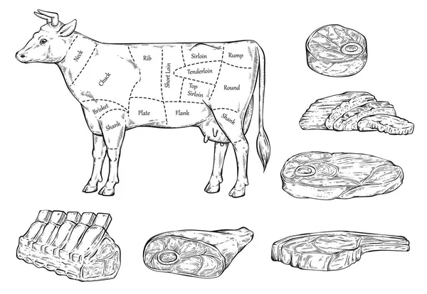 Meat cuts diagram for butcher shop line sketch vector illustration isolated. — Stockvector