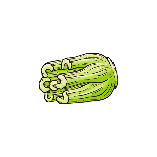 Le piante di sedano verde steli vettoriale illustrazione in stile schizzo doodle isolato . — Vettoriale Stock