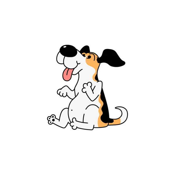 Beagle legrační kreslený pes usmívá s tukem břišní vektor ilustrace izolované. — Stockový vektor