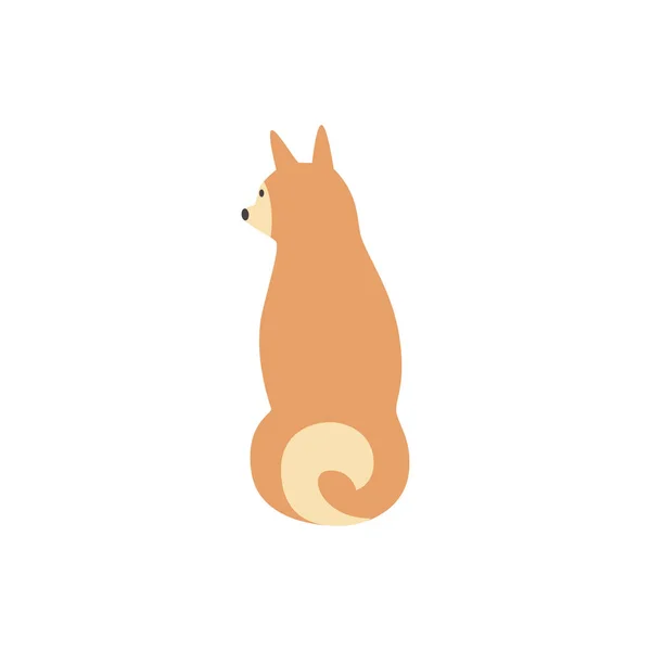 Chien brun et chien Shiba Inu assis ou debout, vue de dos . — Image vectorielle