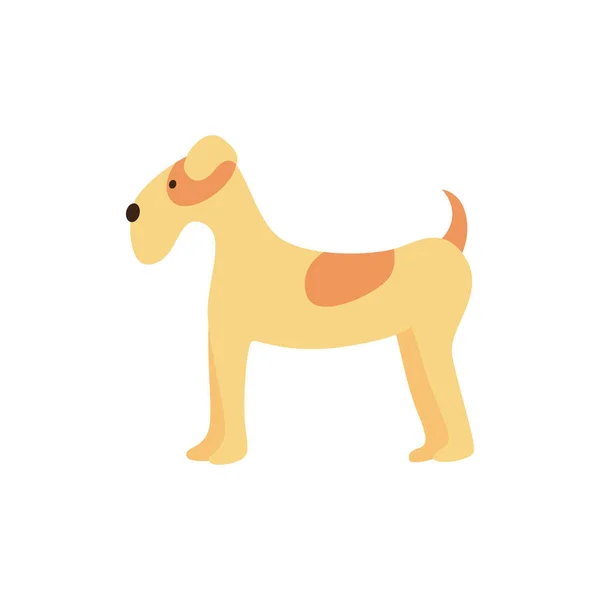 Funny friendly brown airedale dog stands, pet and animal concept. — Stockový vektor