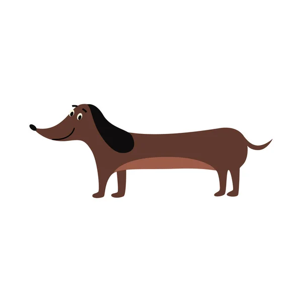 Dachshund σχέδιο - χαριτωμένο καφέ λουκάνικο σκυλί στέκεται και χαμογελά — Διανυσματικό Αρχείο