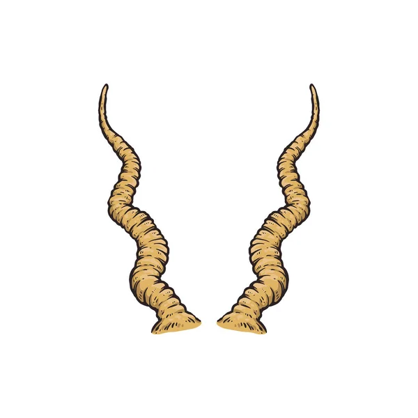 Screwhorn antilop horn ritning isolerad på vit bakgrund, gula djur horn — Stock vektor