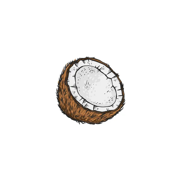 Kokosnuss Hälfte der offenen tropischen exotischen Früchte, Skizzenvektorillustration isoliert. — Stockvektor