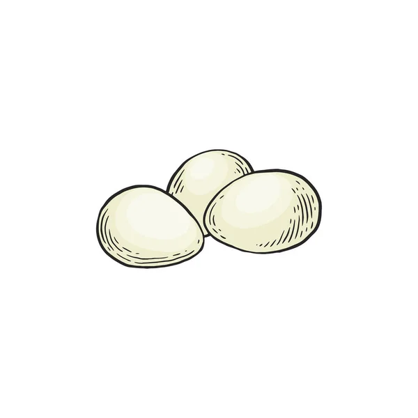 닭흰 달걀 벡터 손으로 스케치 한 흰색 그림. — 스톡 벡터